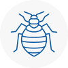 Bed Bug Extermination In Bedale